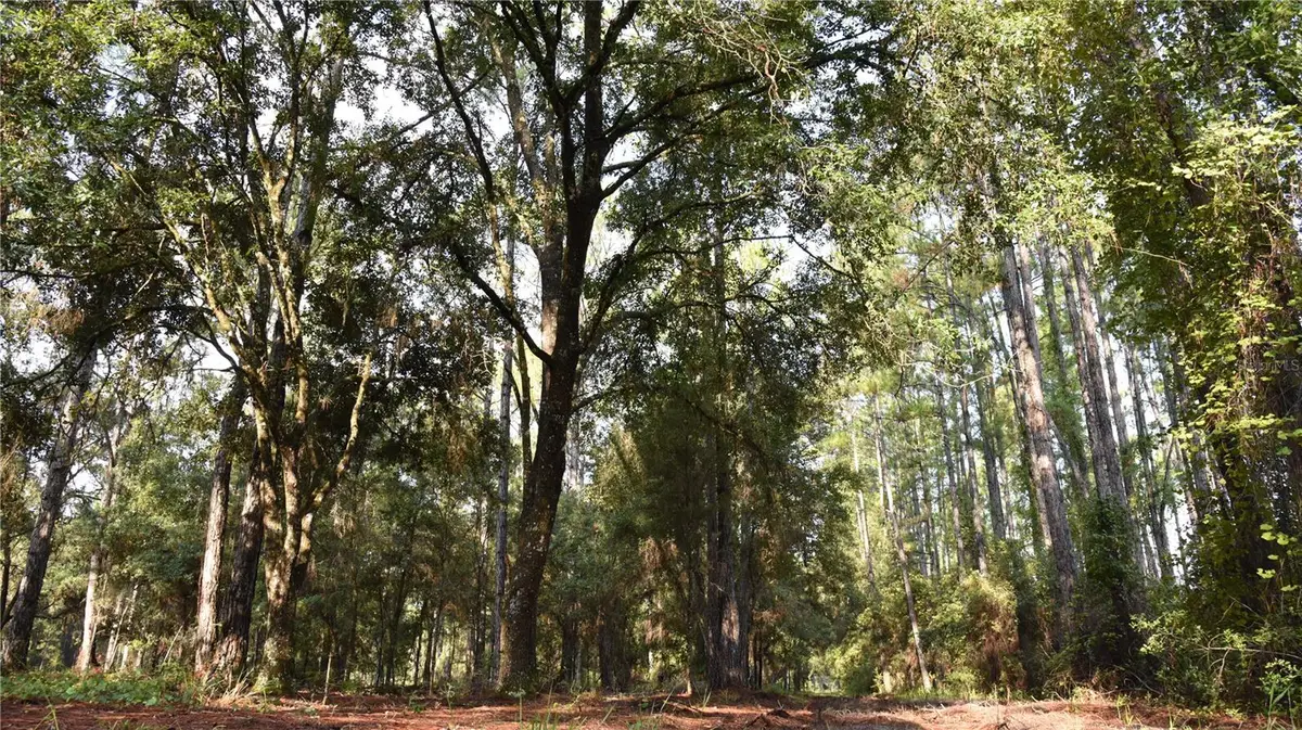 180 Caravelle Farms Road, Palatka, FL 32177 - Image #1