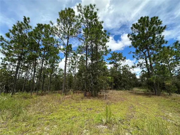 TBD SE 105th Lane, DUNNELLON, FL 34431