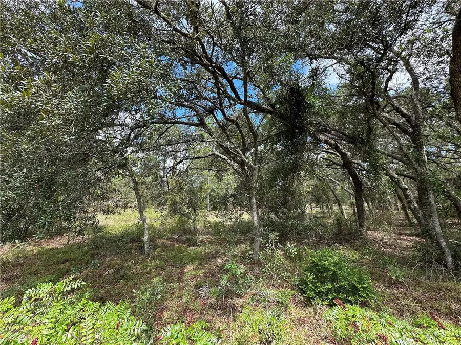 Address Withheld By Seller, Dunnellon, FL 34431 - #2