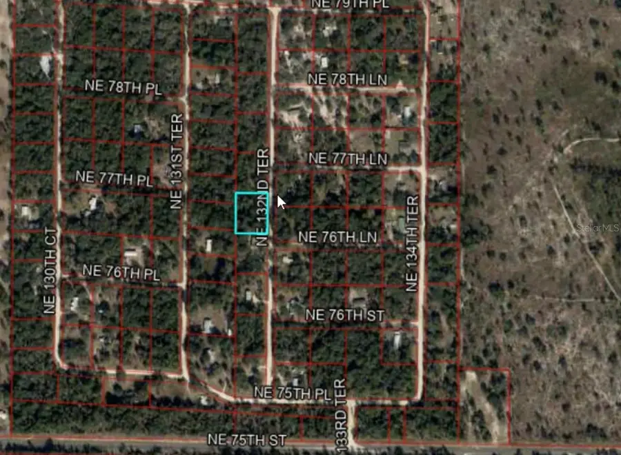 7750 NE 132nd Terrace, Bronson, FL 32621 - Image #2