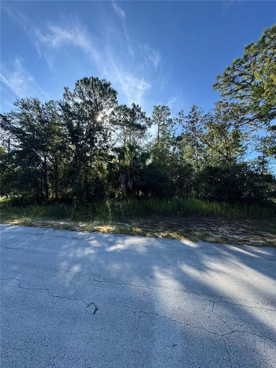 TBD Hemlock Loop Drive, Ocala, FL 34472 - Image #1
