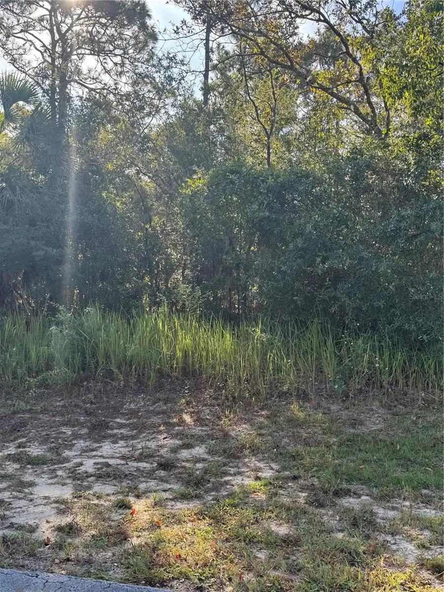 TBD Hemlock Loop Drive, Ocala, FL 34472 - Image #2