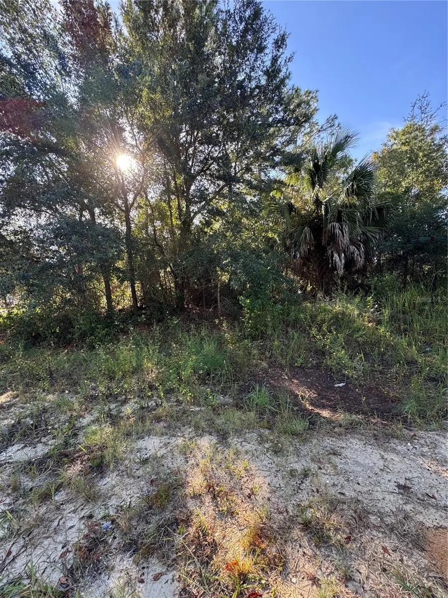 TBD Hemlock Loop Drive, Ocala, FL 34472 - Image #3
