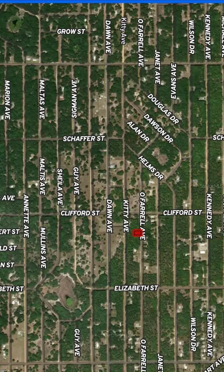 LOT 32 Offarrel Drive, Interlachen, FL 32148 - Image #1