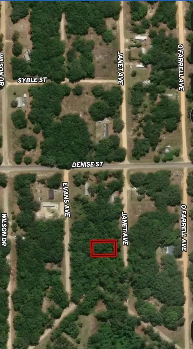 LOT 3 Janet Avenue, Interlachen, FL 32148 - Image #1