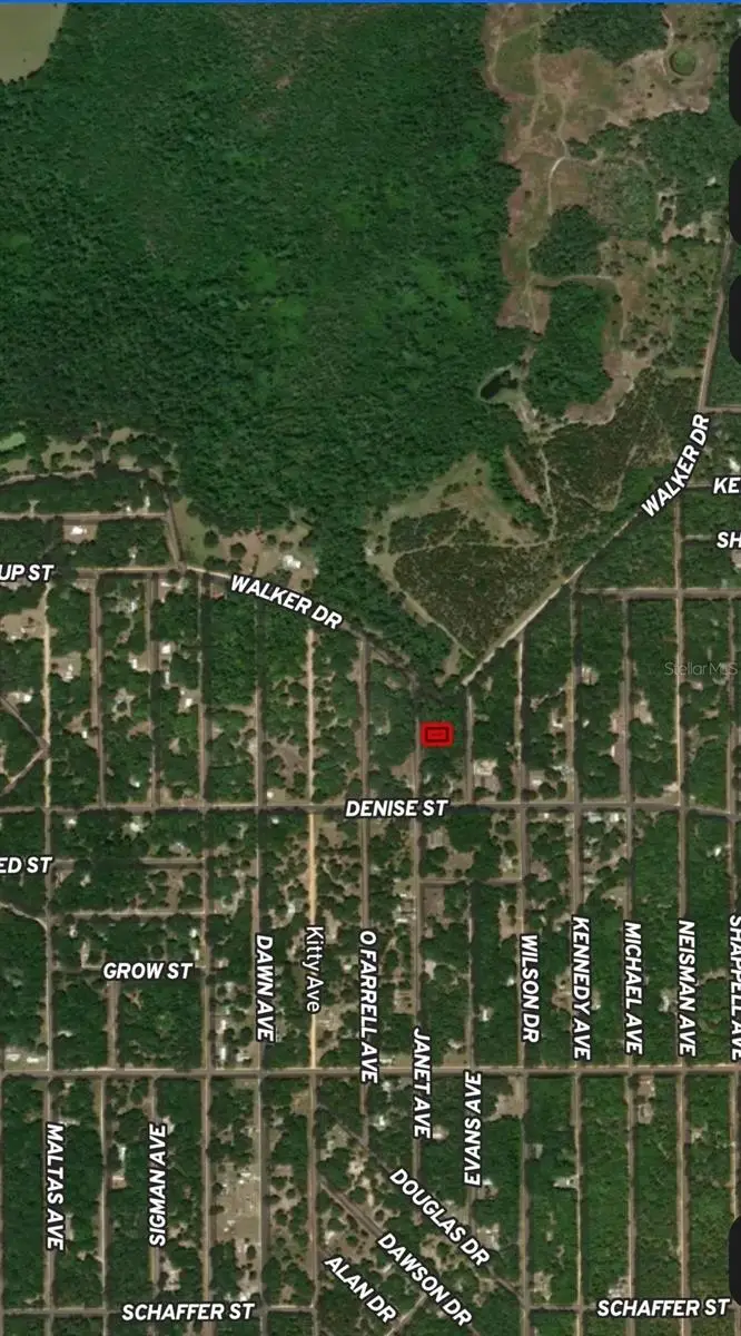LOT 3 Janet Avenue, Interlachen, FL 32148 - Image #3