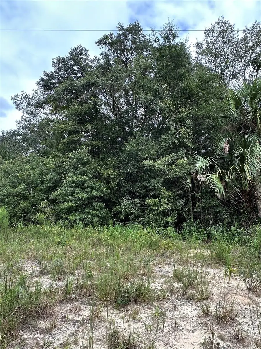 00 Kin Street, Interlachen, FL 32148 - Image #3