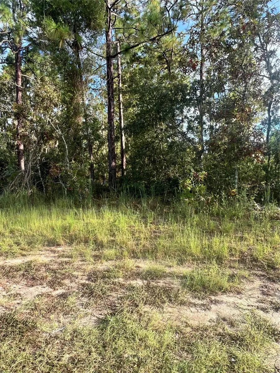 Hemlock Trl, Ocala, FL 34472 - Image #1