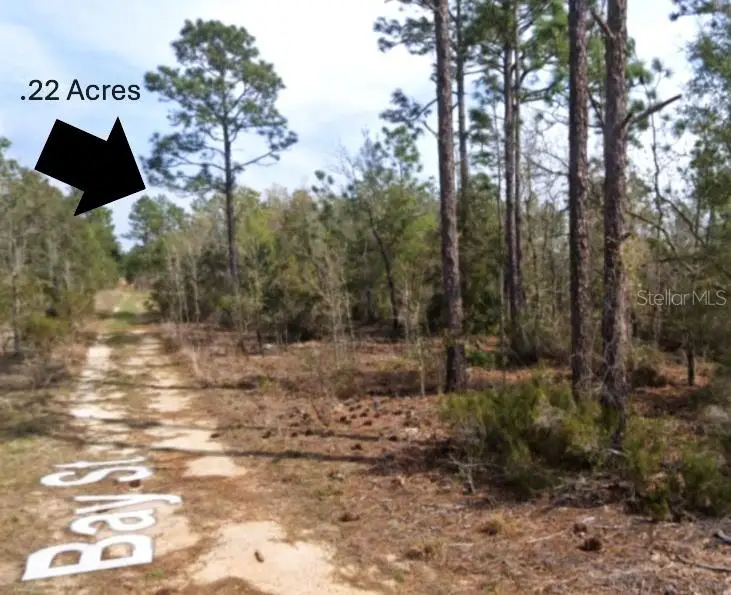 xx Bay Street, Interlachen, FL 32148 - Image #2