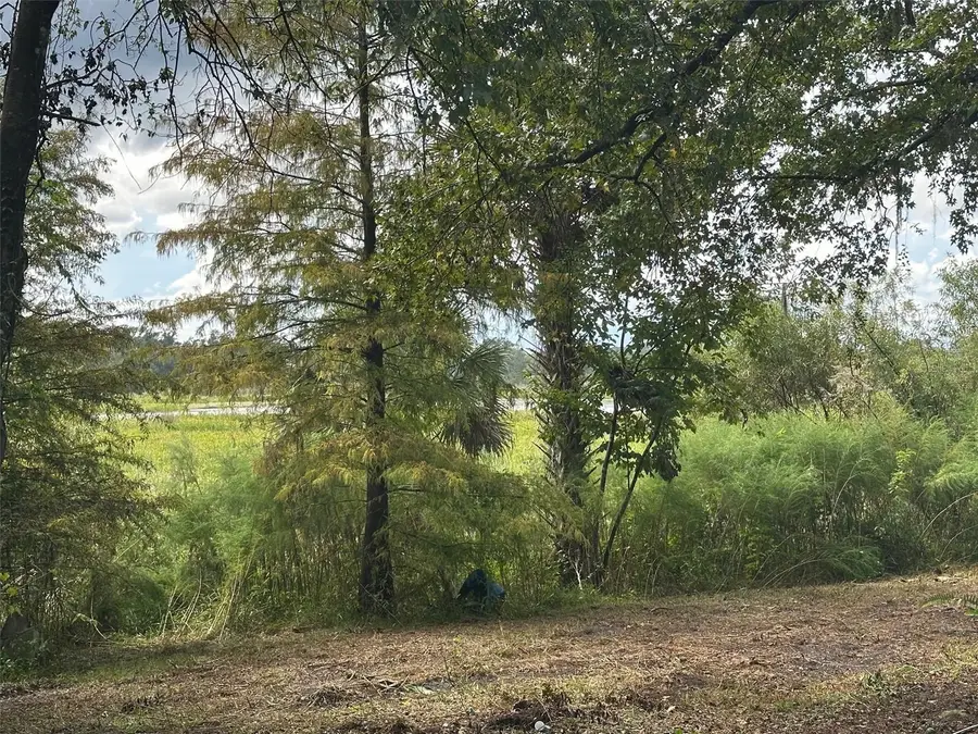 6661 E Turner Camp Road, Inverness, FL 34453 - Image #2