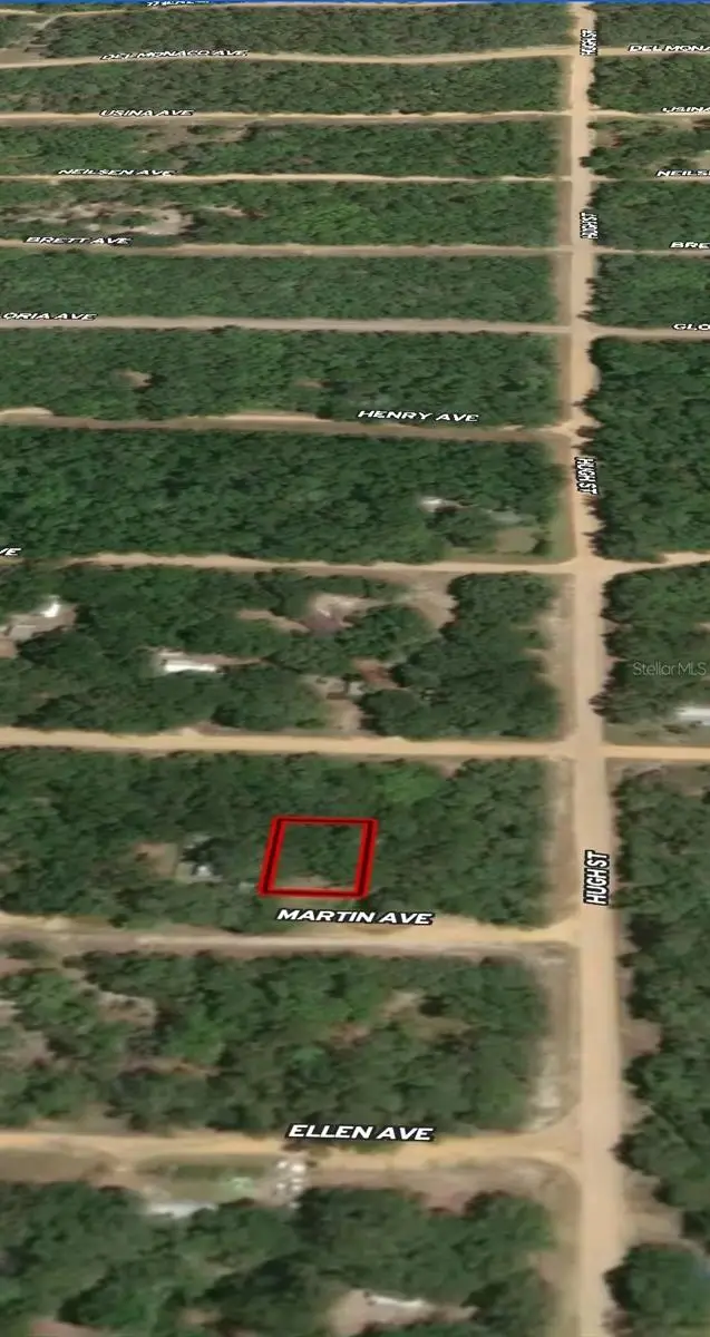 LOT 12 Martin Avenue, Interlachen, FL 32148 - Image #3