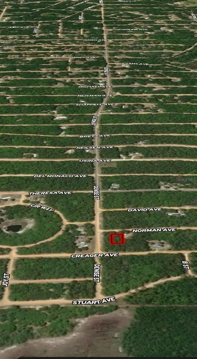 LOT 16 Norman Avenue, Interlachen, FL 32148 - Image #2