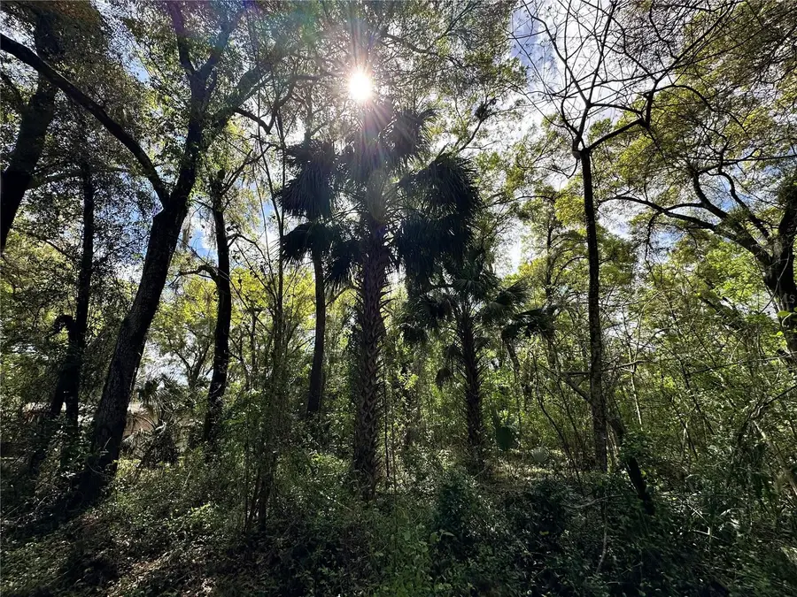 tbd SW 5th Lane, Ocala, FL 34481 - #3