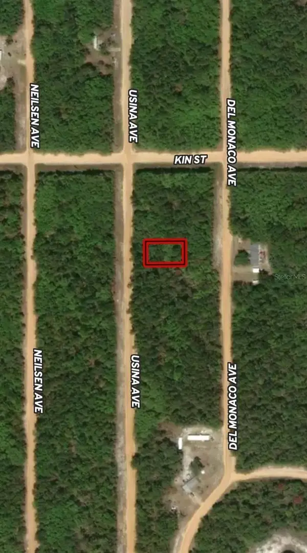 LOT 4 Usina Avenue, INTERLACHEN, FL 32148