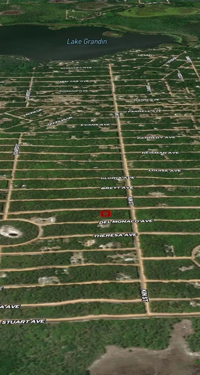 LOT 4 Usina Avenue, Interlachen, FL 32148 - Image #3