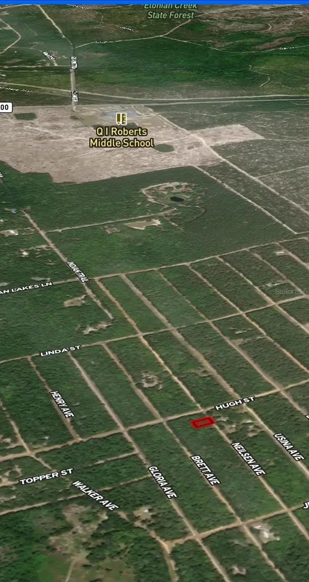 LOT 35 Neilsen Avenue, Interlachen, FL 32148 - Image #3