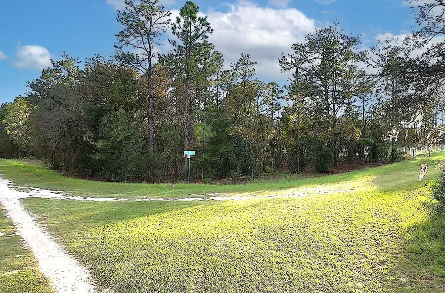 00 TBD SW 88th Street, Dunnellon, FL 34432 - Image #2