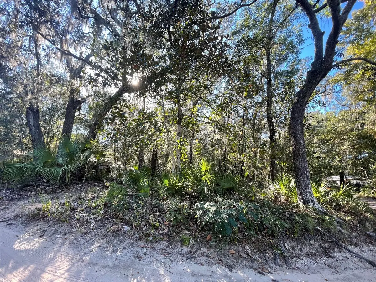 TBD NE 199th Place, Fort McCoy, FL 32134 - Image #1