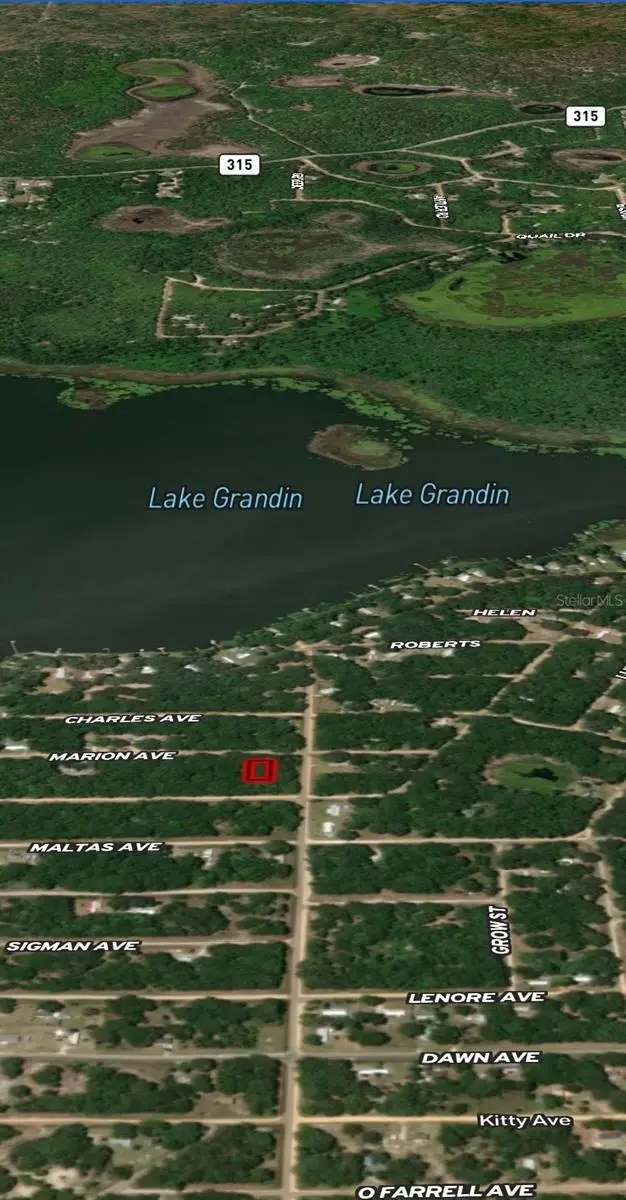 LOT 2 Marion Avenue, Interlachen, FL 32148 - Image #3