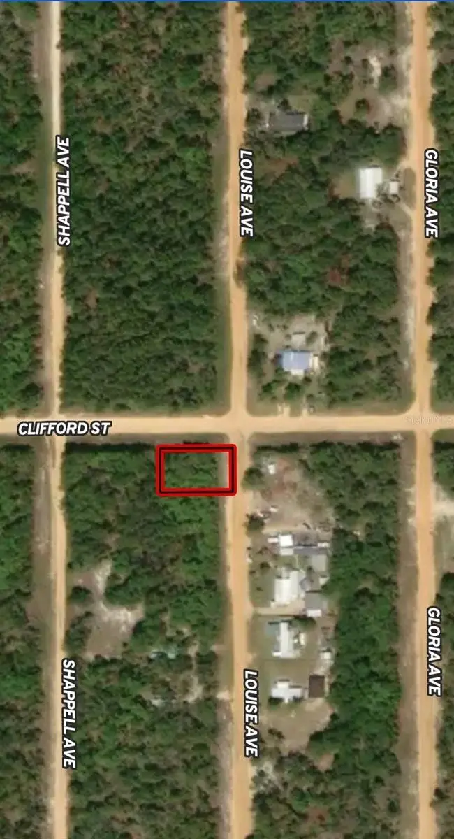 LOT 36 Louise Avenue, Interlachen, FL 32148 - Image #2