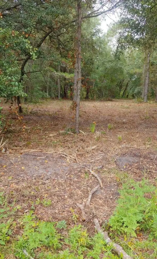 0 NE 148th Terrace Rd, FORT MC COY, FL 32134