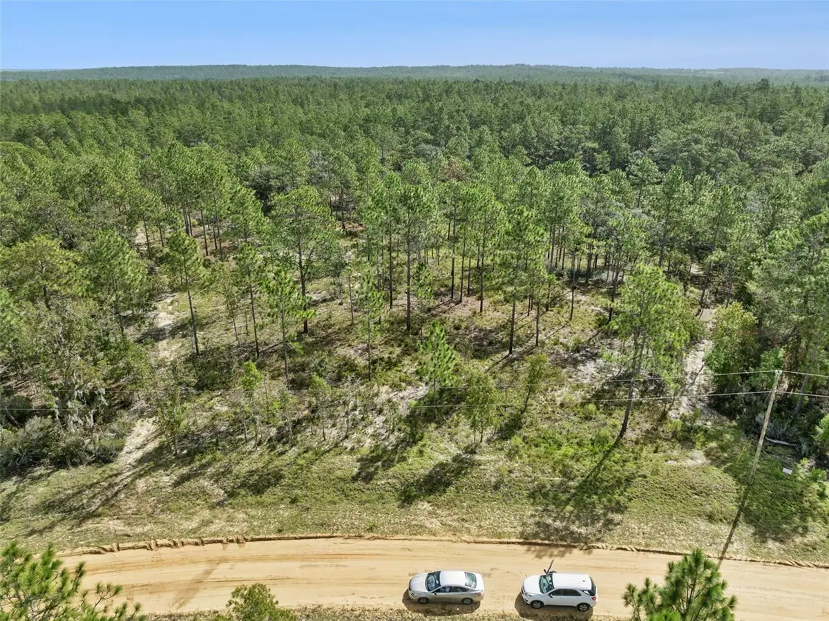 240 Cessna Way, Hawthorne, FL 32640 - Image #1