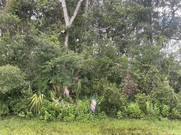 91 Palmwood Drive, PALM COAST, FL 32164