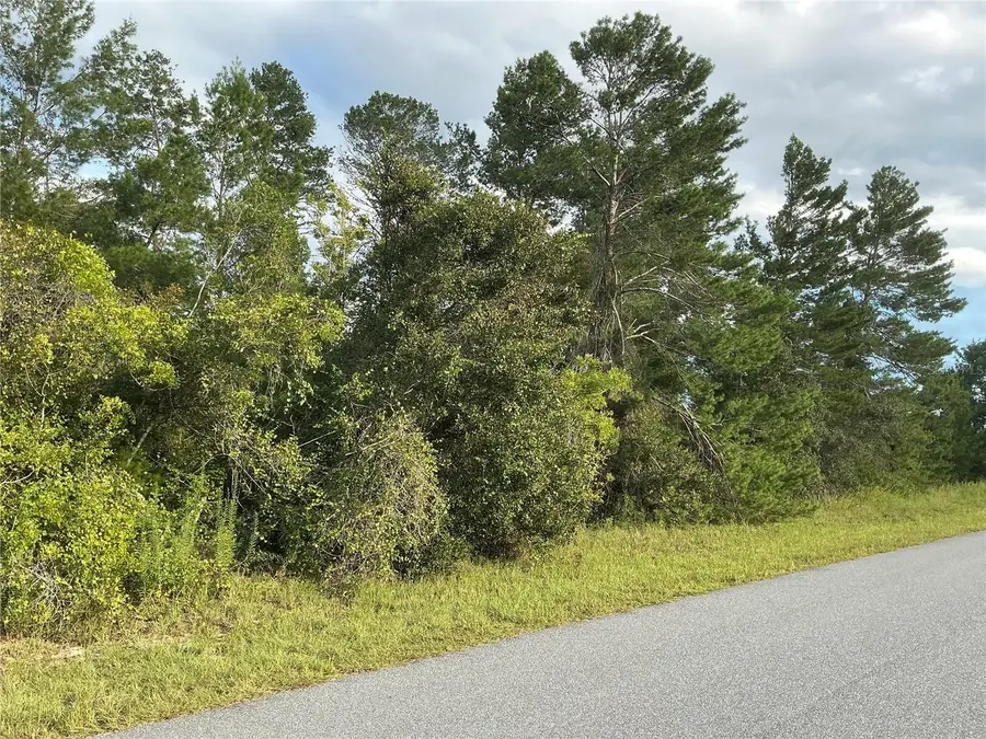 SW 35th Ave Road, Ocala, FL 34473 - #3