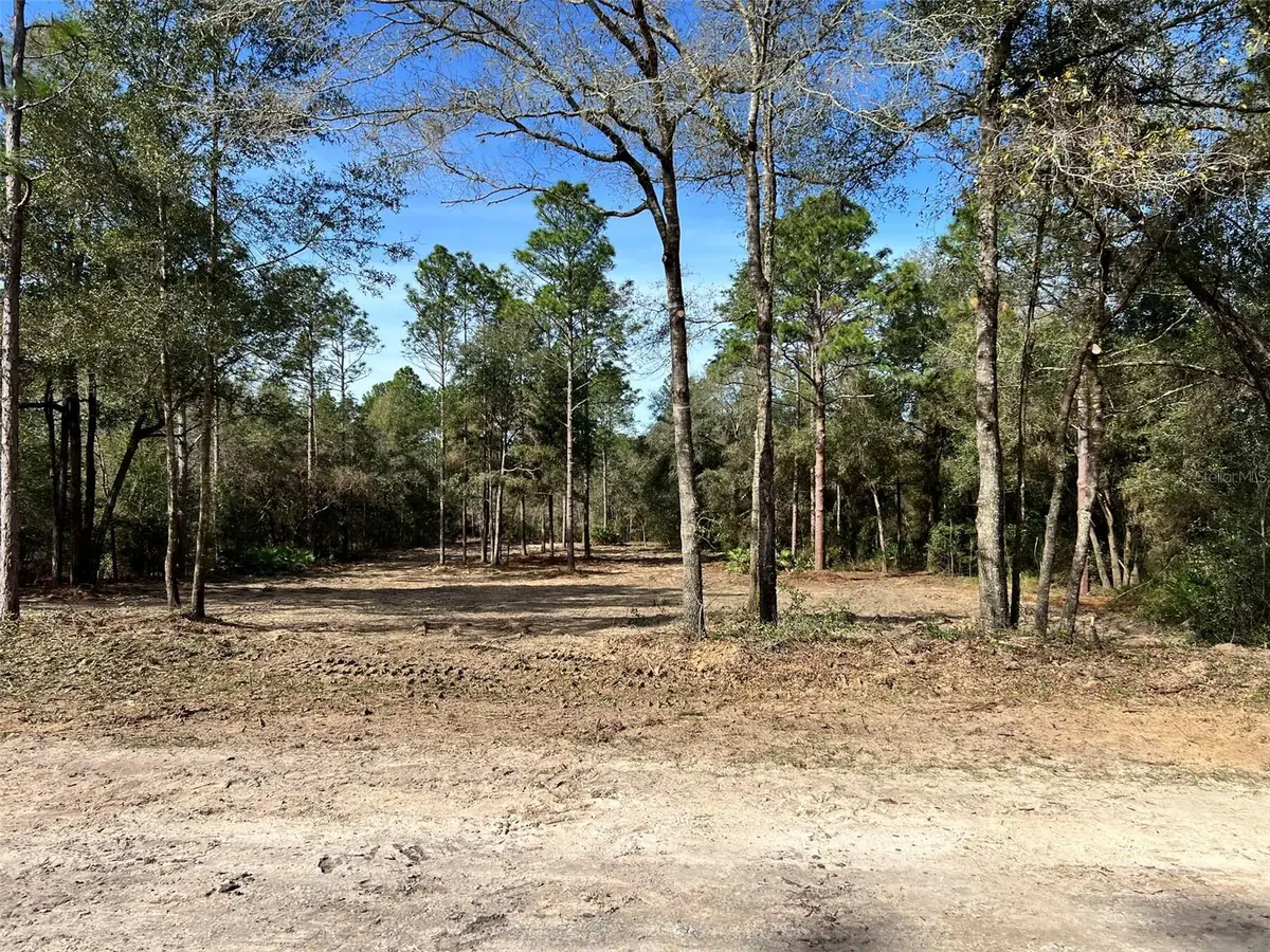 Lot 103 SW 60th Lane Road, Ocala, FL 34481 - Image #1
