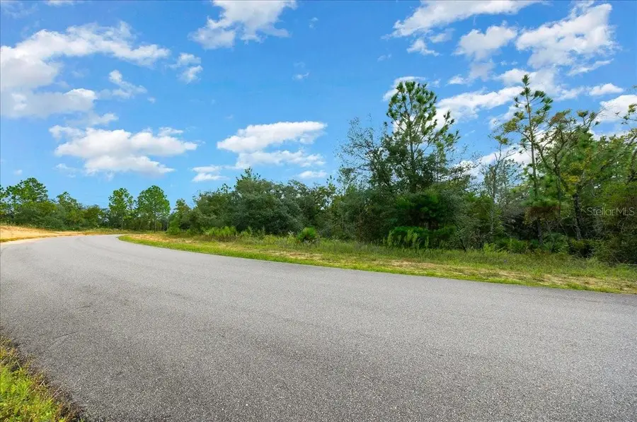 6731 N Pavilion Loop, Citrus Springs, FL 34433 - Image #2