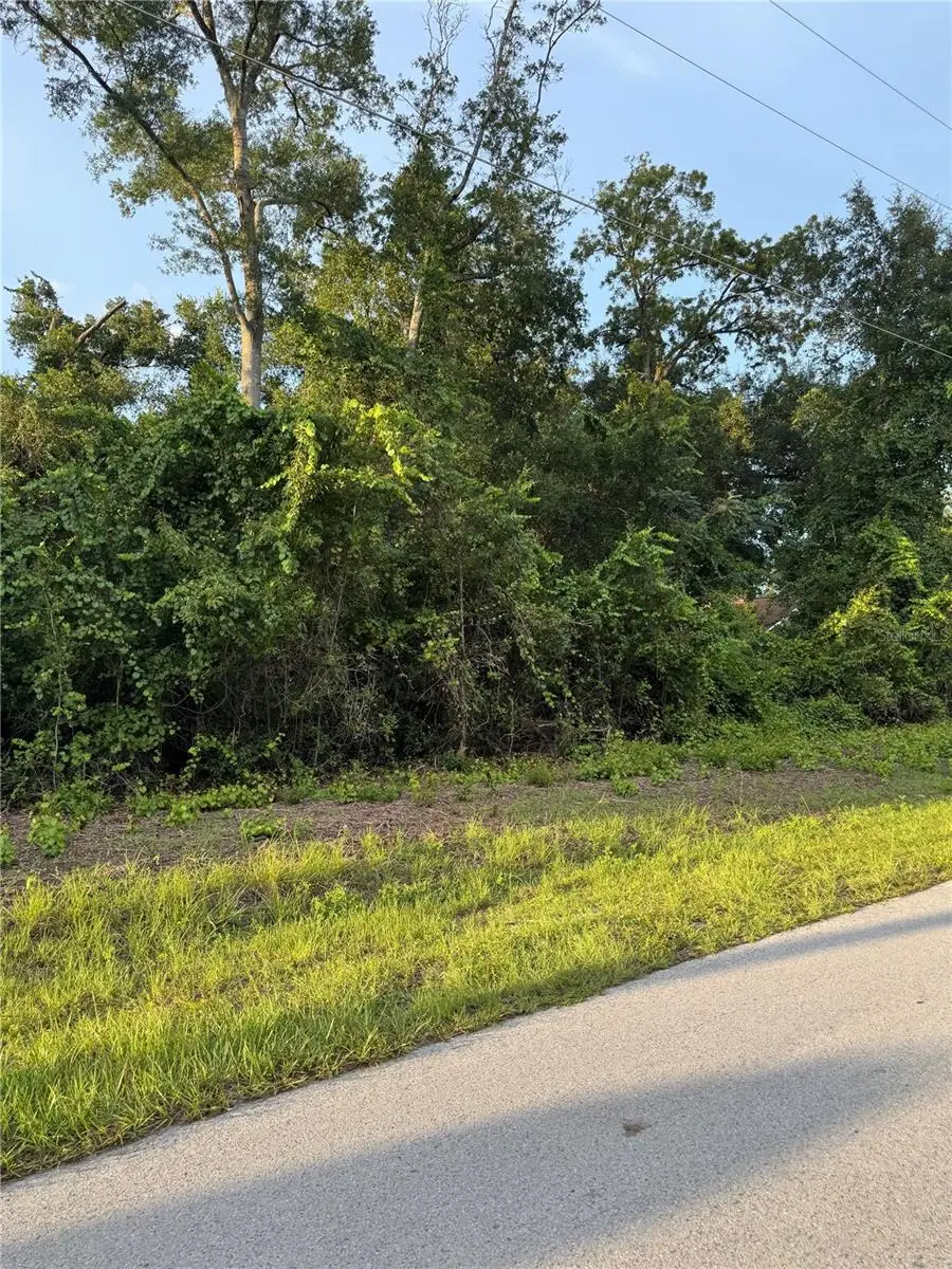 TBD SE 83rd Court, Summerfield, FL 34491 - Image #1