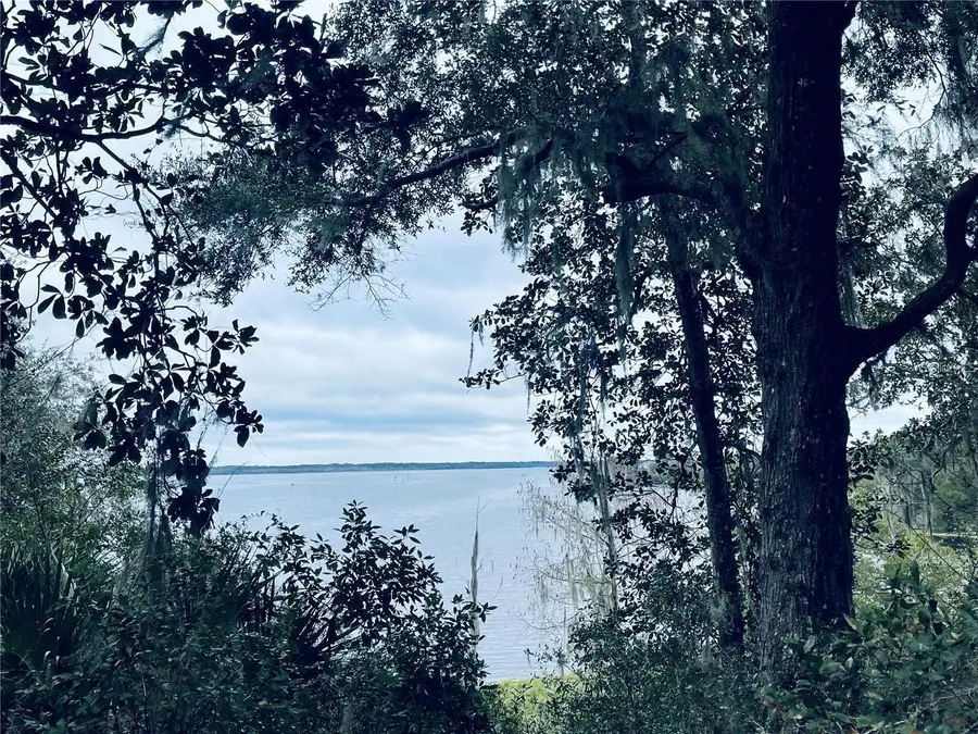 TBD Ne 245th Street Road, Fort McCoy, FL 32134 - Image #2