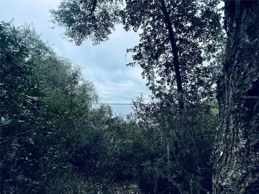 TBD Ne 245th Street Road, Fort McCoy, FL 32134 - Image #3