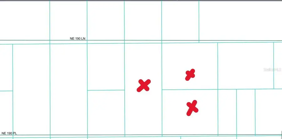 14481 NE 190th Place, Fort McCoy, FL 32134 - Image #3
