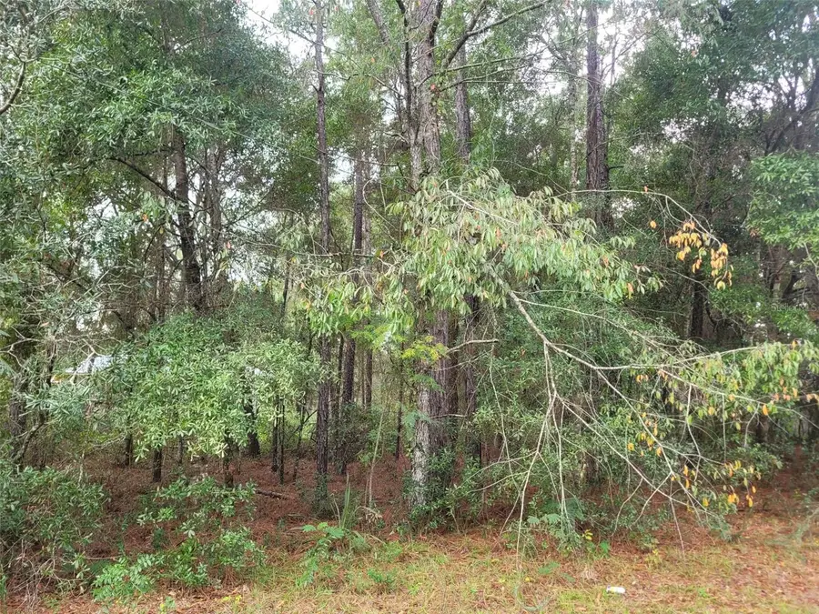 9858 N Jourden Drive, Citrus Springs, FL 34434 - Image #3