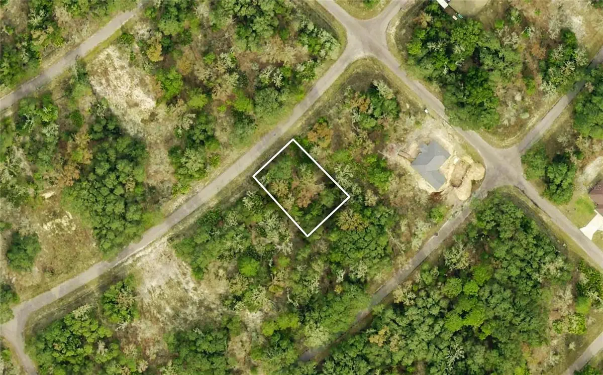 TBD Guava Place - Lot 3 Drive, Ocklawaha, FL 32179 - #1