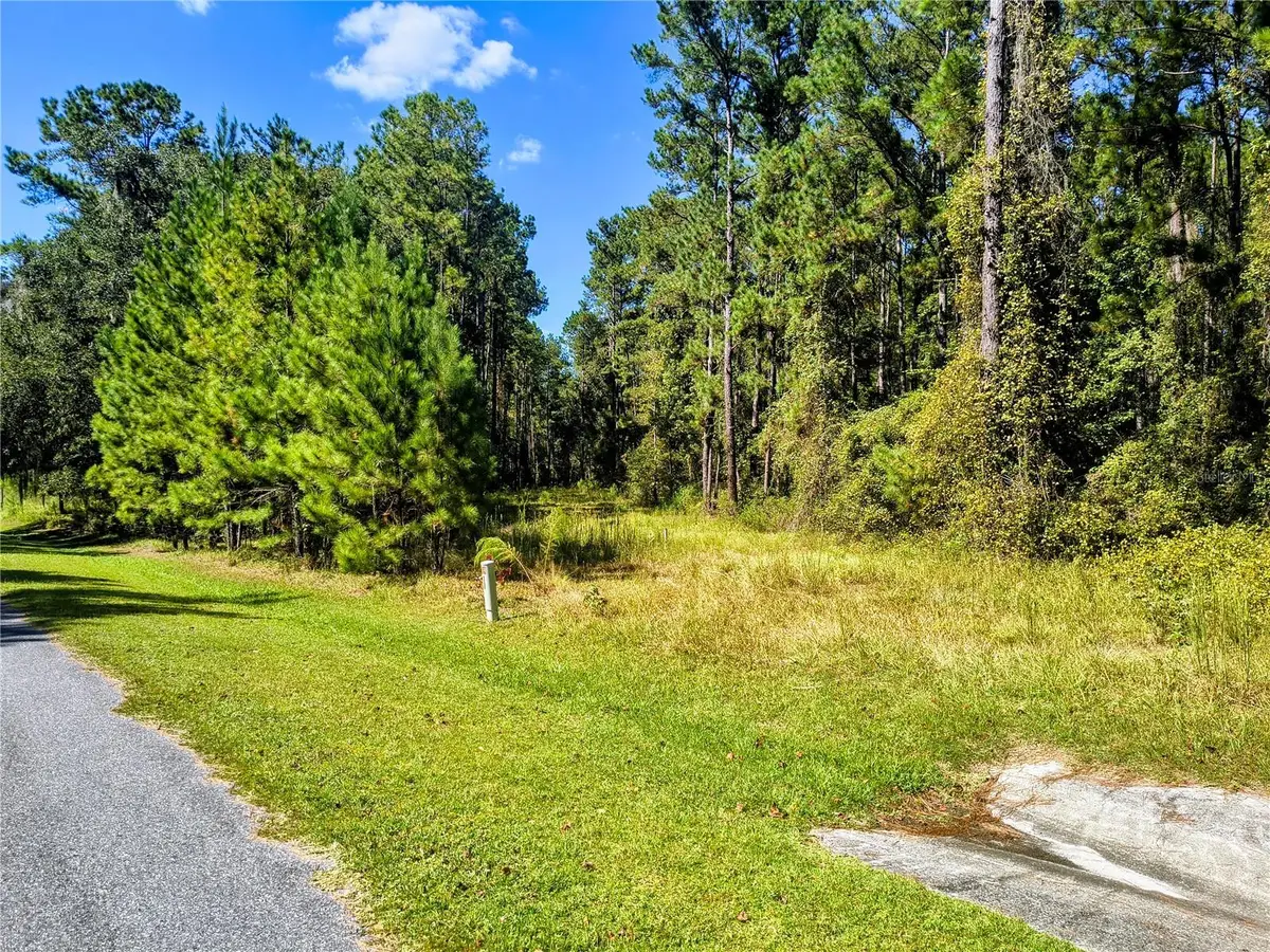 NW 148th Lane, Williston, FL 32696 - Image #1