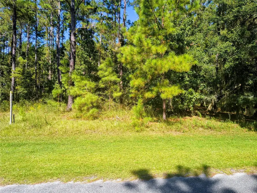 NW 148th Lane, Williston, FL 32696 - Image #2