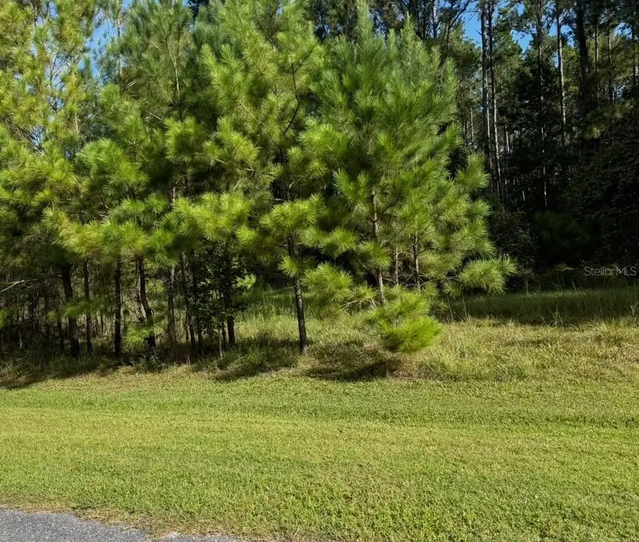NW 148th Lane, Williston, FL 32696 - Image #3