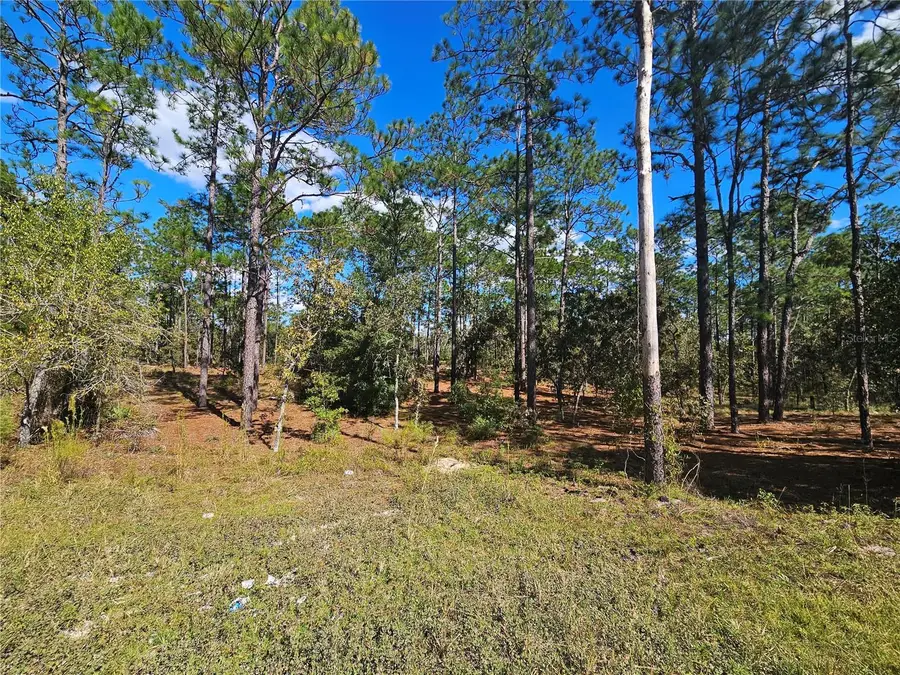 2171 SE 148th Court, Morriston, FL 32668 - Image #3
