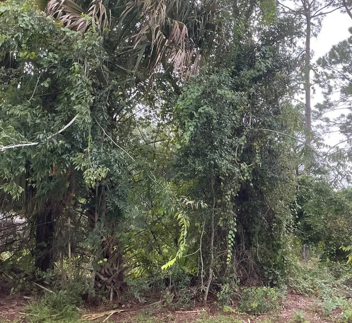 39 Whittington Drive, Palm Coast, FL 32164 - #1