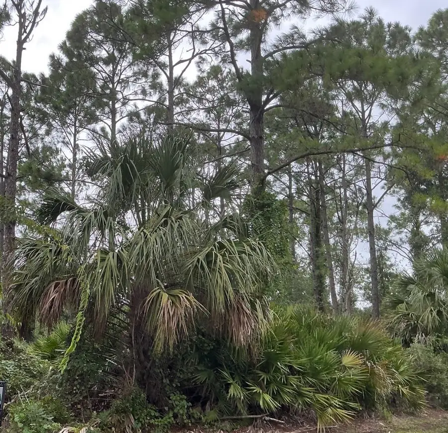 39 Whittington Drive, Palm Coast, FL 32164 - #3