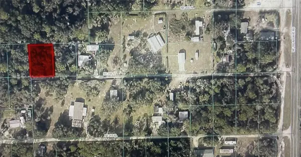 TBD NE 206th St, FORT MC COY, FL 32134