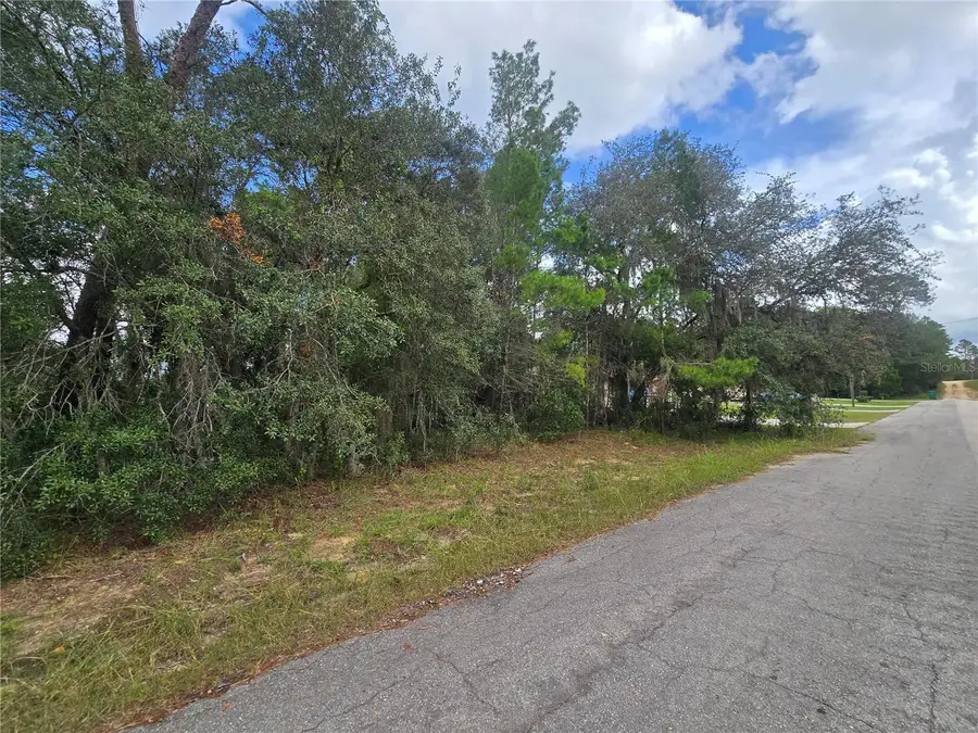 3006 Clearwood Street, Inverness, FL 34452 - Image #2