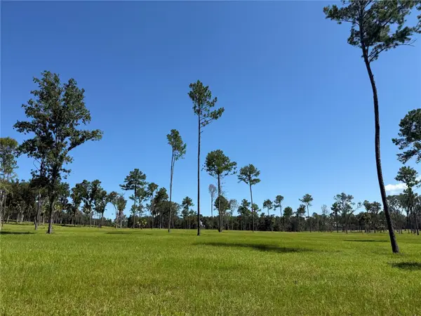 DR #5 (24ac) NW 193rd St, MICANOPY, FL 32667