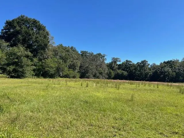 N Hwy 441, Citra, FL 32113 - Image #2