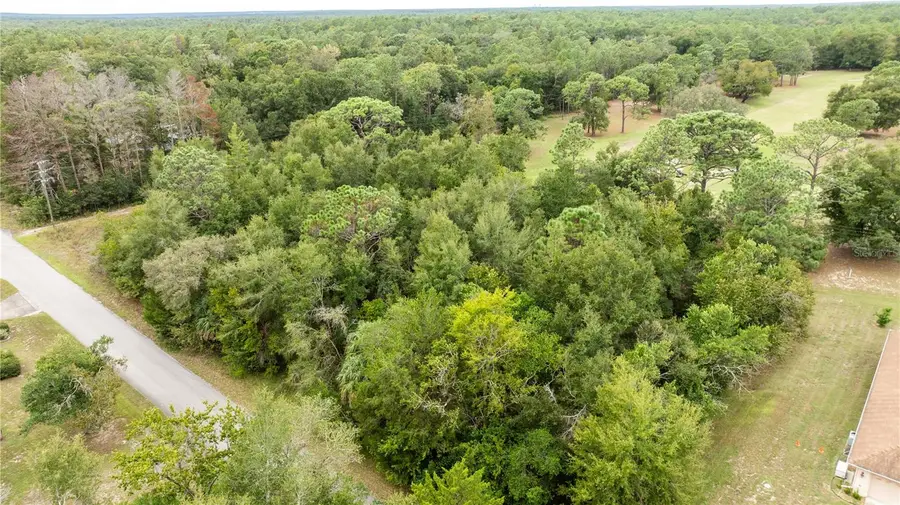 00 SW 204 Th Court, Dunnellon, FL 34431 - Image #2