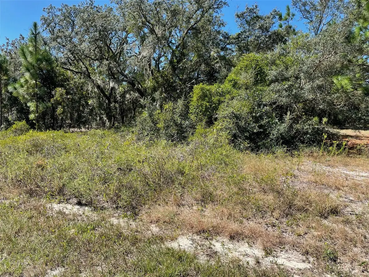 LOT 2 SW Winding Hills Road, Dunnellon, FL 34431 - Image #1