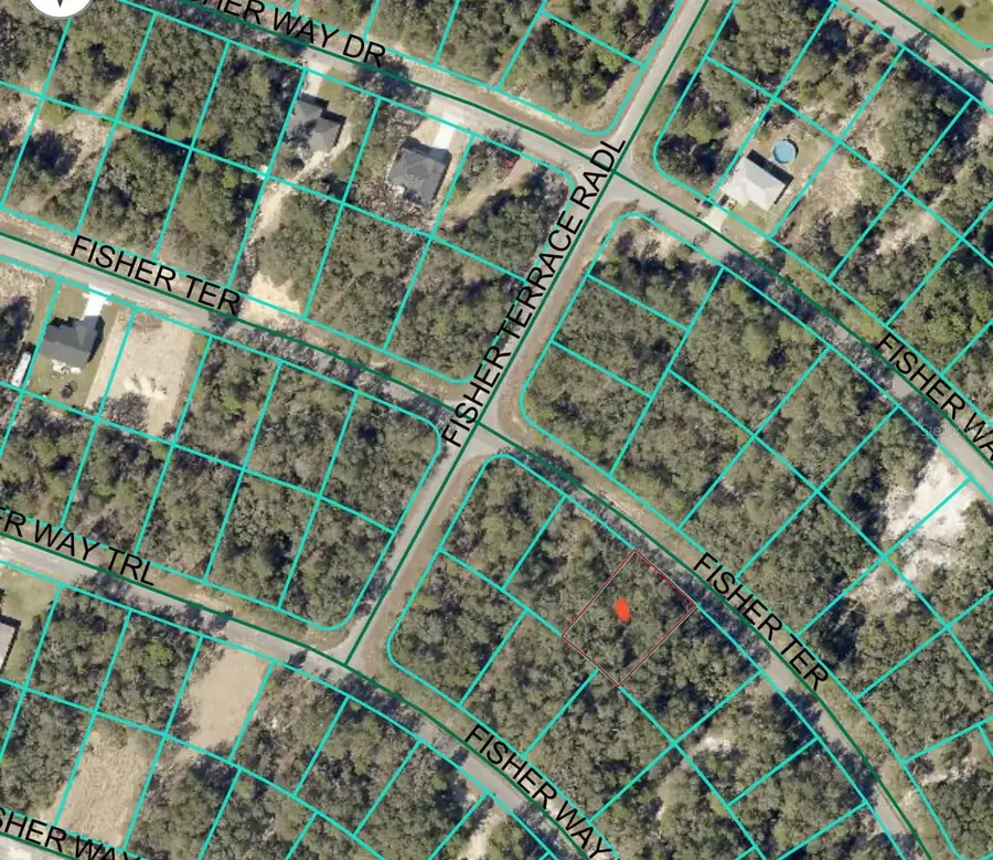 Fisher Terrace #8, Ocklawaha, FL 32179 - Image #3