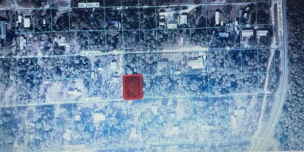 TBD NE Ne 204th Street, Lot 42, FORT MC COY, FL 32134